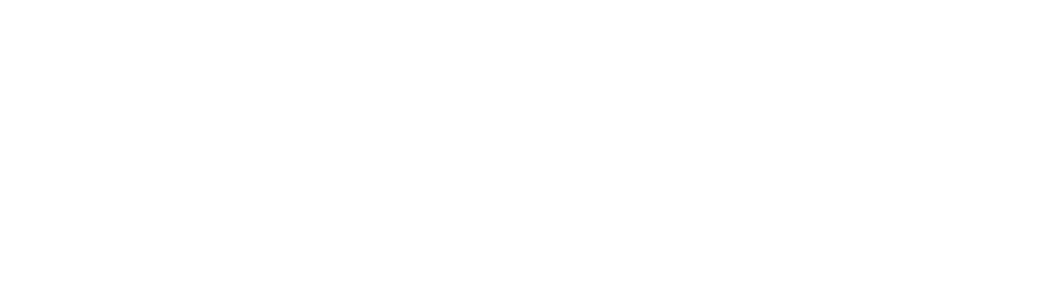 Louisiana Entertainment Logo